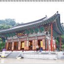 달마사 이미지