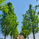 경포저류지 이미지