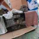 제주오름동물병원 이미지