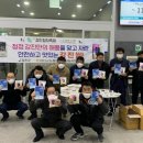 강진-51 이미지
