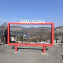 다다목장 | 증평 벨포레 목장 주차 입장료 할인정보 양몰이 공연 36개월 아기와 관람 후기