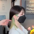 라임헤어 이미지