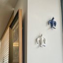 새희망한약국 이미지