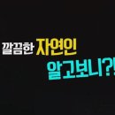 수억식자재 이미지
