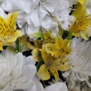 토탈장례 운송사업 이미지