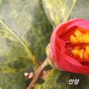 요즘에 이미지