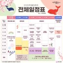 2025 대덕물빛축제 이미지