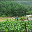 늘푸른계곡 이미지