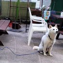 꼭지민박 이미지