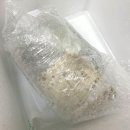 24H판다 이미지