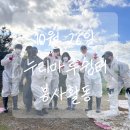 대송환경(주) - 3059 | [울산유기견봉사추천천] 10월 26일 누리마루쉼터 봉사활동/사료급여, 견사청소, 마당청소, 환경정화 등