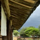 차꽃오미 이미지