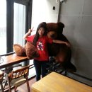 미스미스터커피