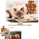 사치 이미지