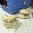 아이엠치과의원 이미지