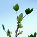 강내과의원 이미지