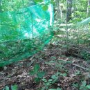 을수골감동 이미지