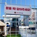 아이조아펫파크 동탄점 이미지