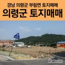 부림장 이미지