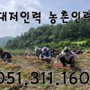 우성인력 이미지