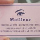 네일메이에르