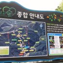 국립대관령치유의숲 이미지