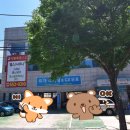 낙원목욕탕 이미지