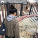발한로(A) 네이버블로그