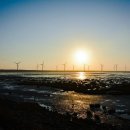 그린하우스 이미지