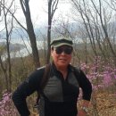 반호 이미지