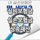 [질문]-한정승인시 실비보험료에 관한 질문 드려요. 이미지