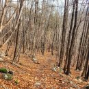 시간 여행(서경만 시인) 이미지