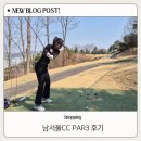 판교원로82번길 | 골린이 머리 올리기 전 골프 매너, 연습하기 좋은 남서울컨트리클럽 par3 이용 후기