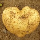 노동농민상담소 이미지