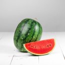 한일누비 | 99%가 아직도 틀립니다… 수박껍질 분리수거, 일반쓰레기 아닙니다