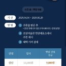 호암 | [용인] 호암미술관 후기 벚꽃 겸재정선 입장권 할인 주차