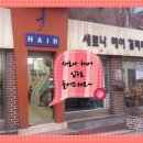 새로나헤어갤러리 이미지