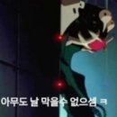 트라이핏 이미지