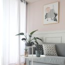 여름식물 인테리어 이미지