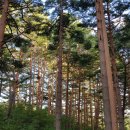 제주금산민박 이미지