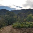 방천1리 이미지