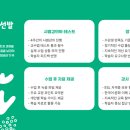 영어 첫단계 이미지