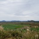 다랑쉬민박 이미지