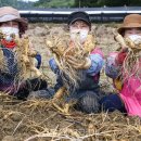 (주)잔디투어 이미지