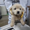 거룡1길 25, (용산동) 이미지