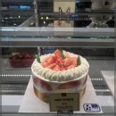 추억정원 이미지