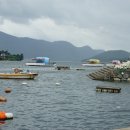 진전면837 이미지