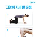 좋은운동 이미지