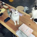 송파가구