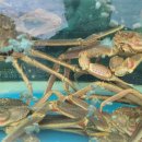 대게좋은날&모텔 이미지